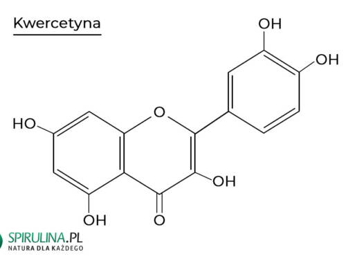 Kwercetyna