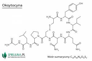 Oksytocyna