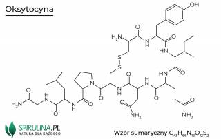 Oksytocyna