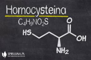 Homocysteina