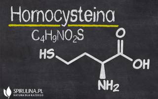 Homocysteina