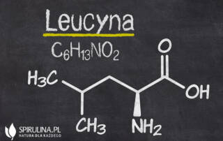 Leucyna