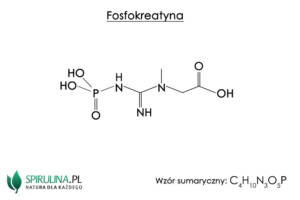 Fosfokreatyna