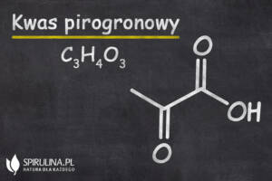 Kwas pirogronowy