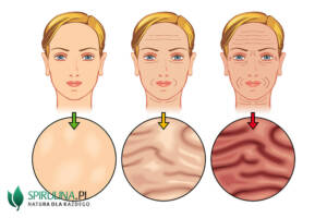 Naturalny kolagen - efekty jakich można się spodziewać