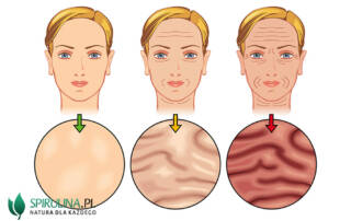 Naturalny kolagen - efekty jakich można się spodziewać