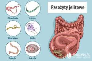 Oczyszczanie organizmu z pasożytów