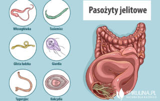 Oczyszczanie organizmu z pasożytów