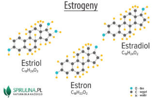 Estrogeny
