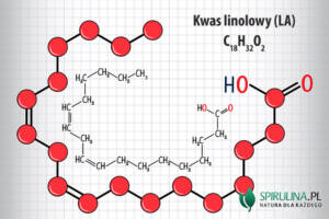 Kwas linolowy (LA)