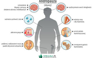 Andropauza