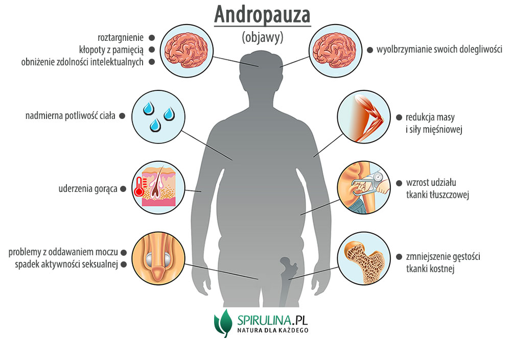 Andropauza