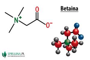 Betaina