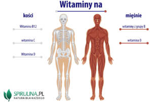 Witamin na kości i mięśnie