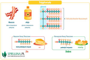 Trójglicerydy