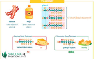 Trójglicerydy