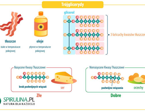 Trójglicerydy