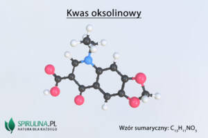 Kwas oksolinowy - antybiotyk chinolonowy I generacji.