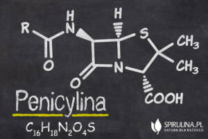 Penicylina