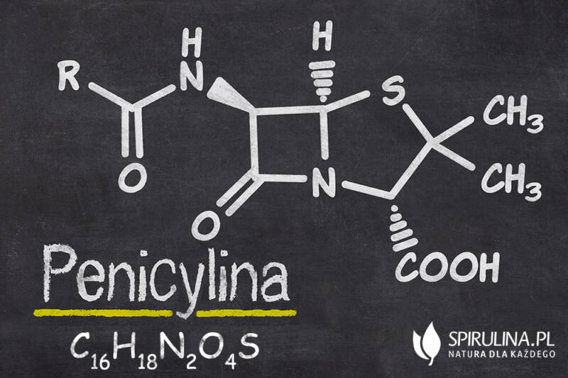 Penicylina - algi Spirulina i Chlorella