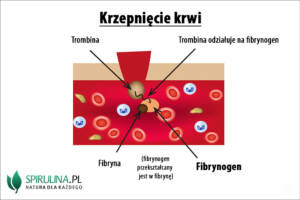 Fibrynogen