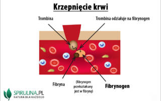 Fibrynogen