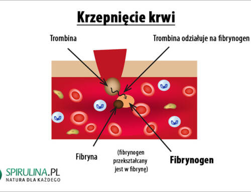 Fibrynogen