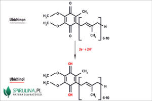 Ubichinol a ubichinon