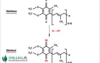 Ubichinol a ubichinon