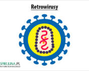 Retrowirusy