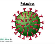 Rotawirus