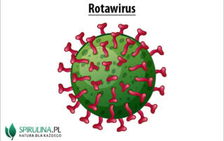 Rotawirus