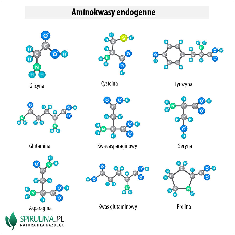 Aminokwasy endogenne