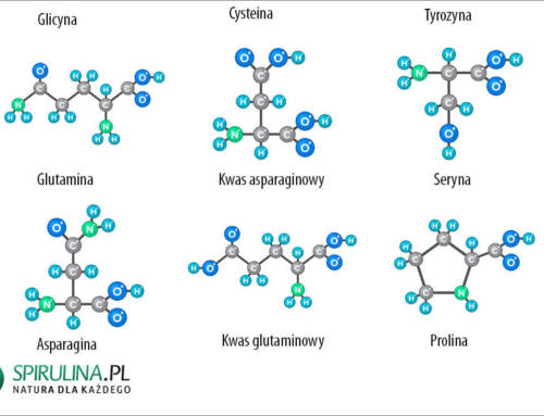Aminokwasy endogenne