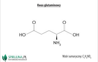 Kwas glutaminowy