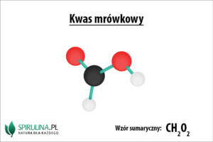 Kwas mrówkowy