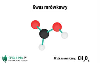 Kwas mrówkowy