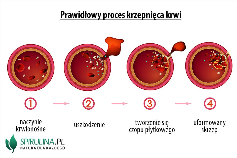 Zaburzenia Krzepni cia Krwi Algi Spirulina I Chlorella