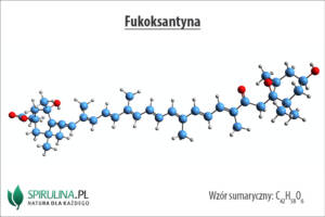 Fukoksantyna