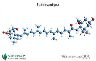 Fukoksantyna