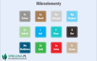 Mikroelementy