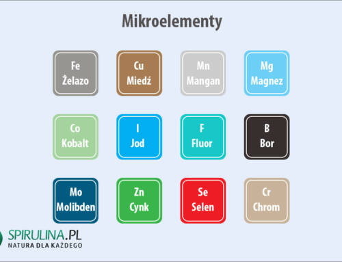 Mikroelementy