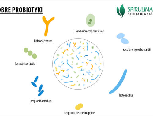 Dobre probiotyki