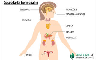 Gospodarka hormonalna