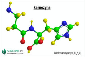 Karnozyna