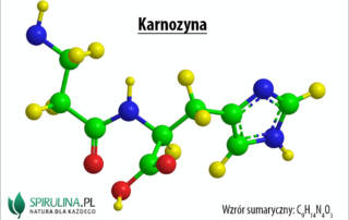 Karnozyna