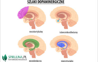 Uklad dopaminergiczny