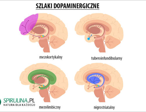 Układ dopaminergiczny