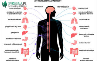 Autonomiczny układ nerwowy
