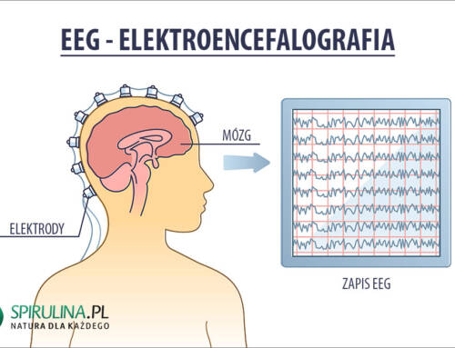 EEG (Elektroencefalografia)